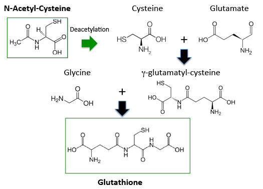 NACtoGSH