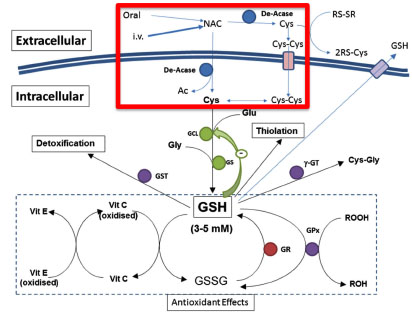 Rushworth-NAC.review-4.2