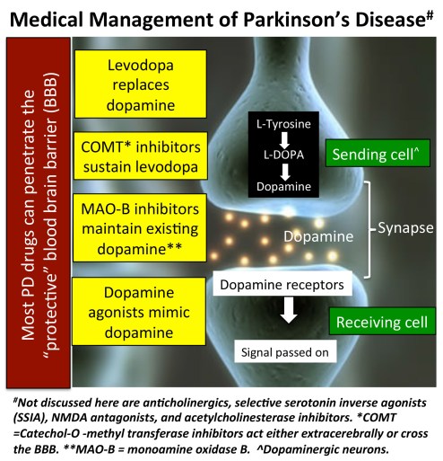 17.03.20b.PD_Drugs_Interactions