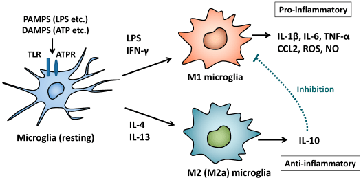 pharmaceuticals-07-01028-g001