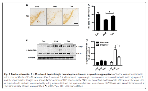 Screenshot 2018-04-05 11.37.57