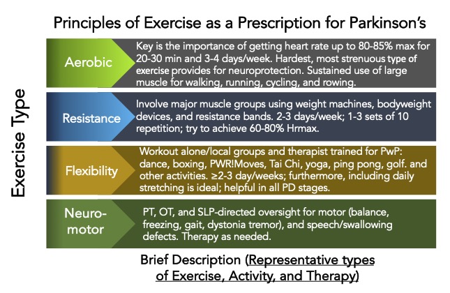 The Importance of Exercise to Help Manage Parkinson’s – Journey with ...