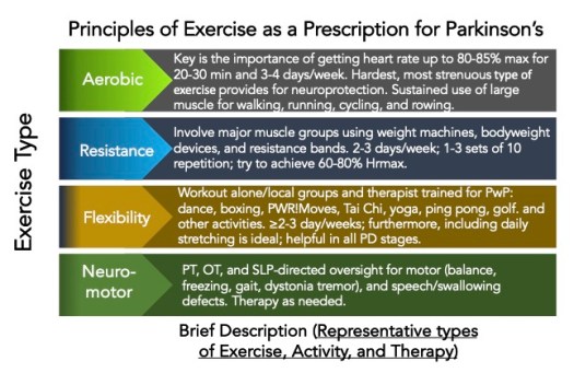 The Importance of Exercise to Help Manage Parkinson’s – Journey with ...